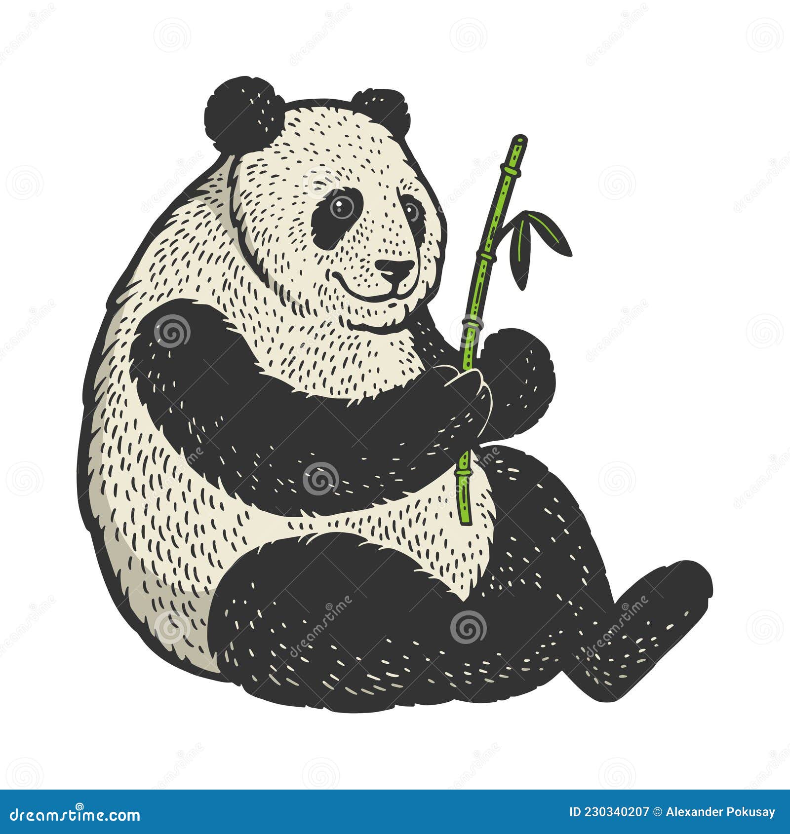 panda bear sketch  