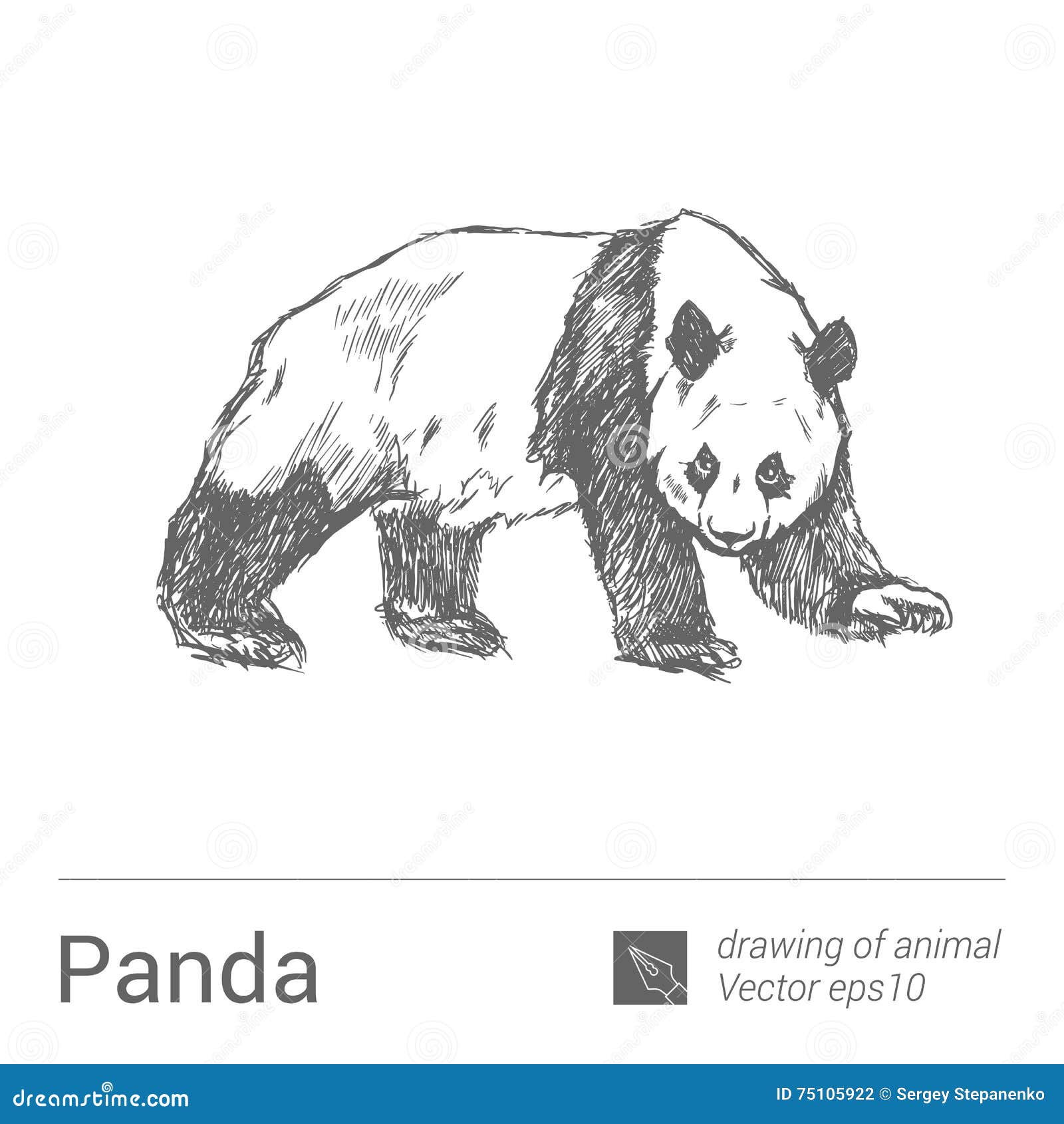 Panda, Drawing of Animals, Vectore Stock Vector - Illustration of drawing,  vector: 75105922, image size:1600x1690