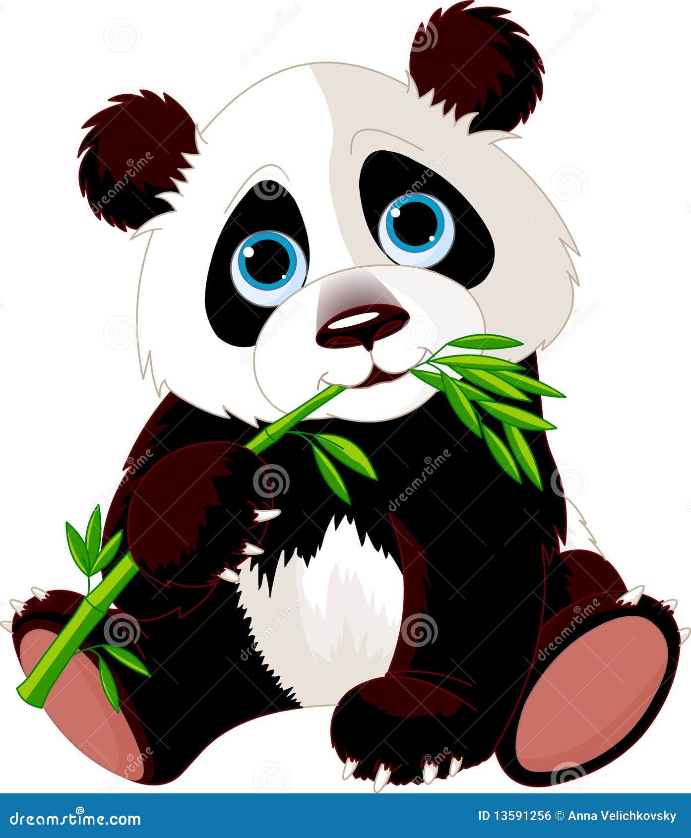 Panda Eating Bamboo Vector Illustration | CartoonDealer.com #13591256