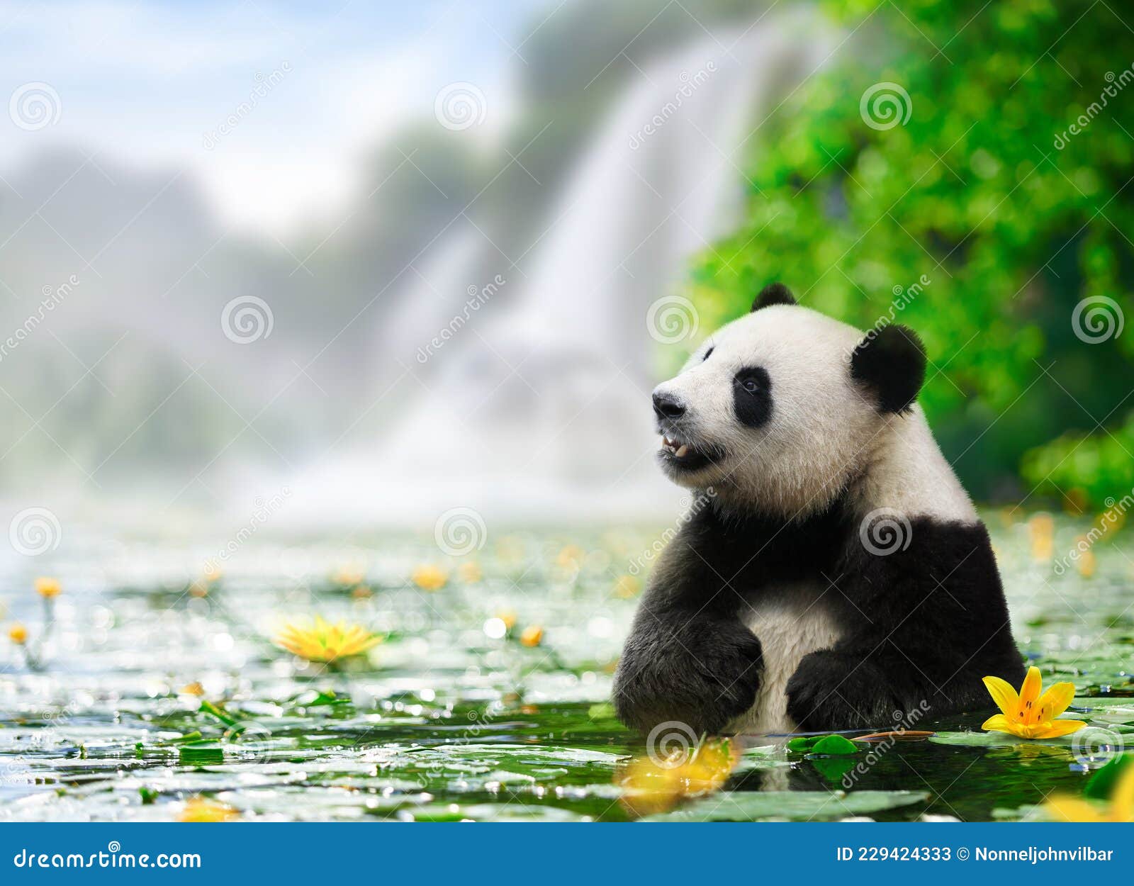 Panda Enjoys Bathing in a River with Waterfall Background Stock Image
