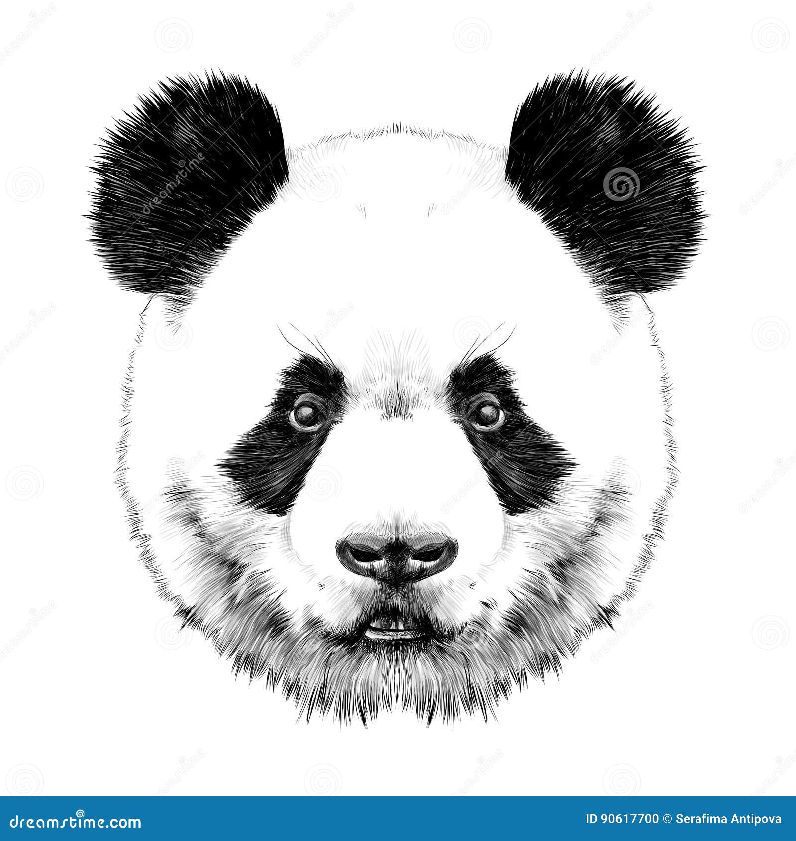 Featured image of post Drawing Panda Head / Download this premium vector about drawn panda head illustration, and discover more than 9 million professional graphic resources on freepik.