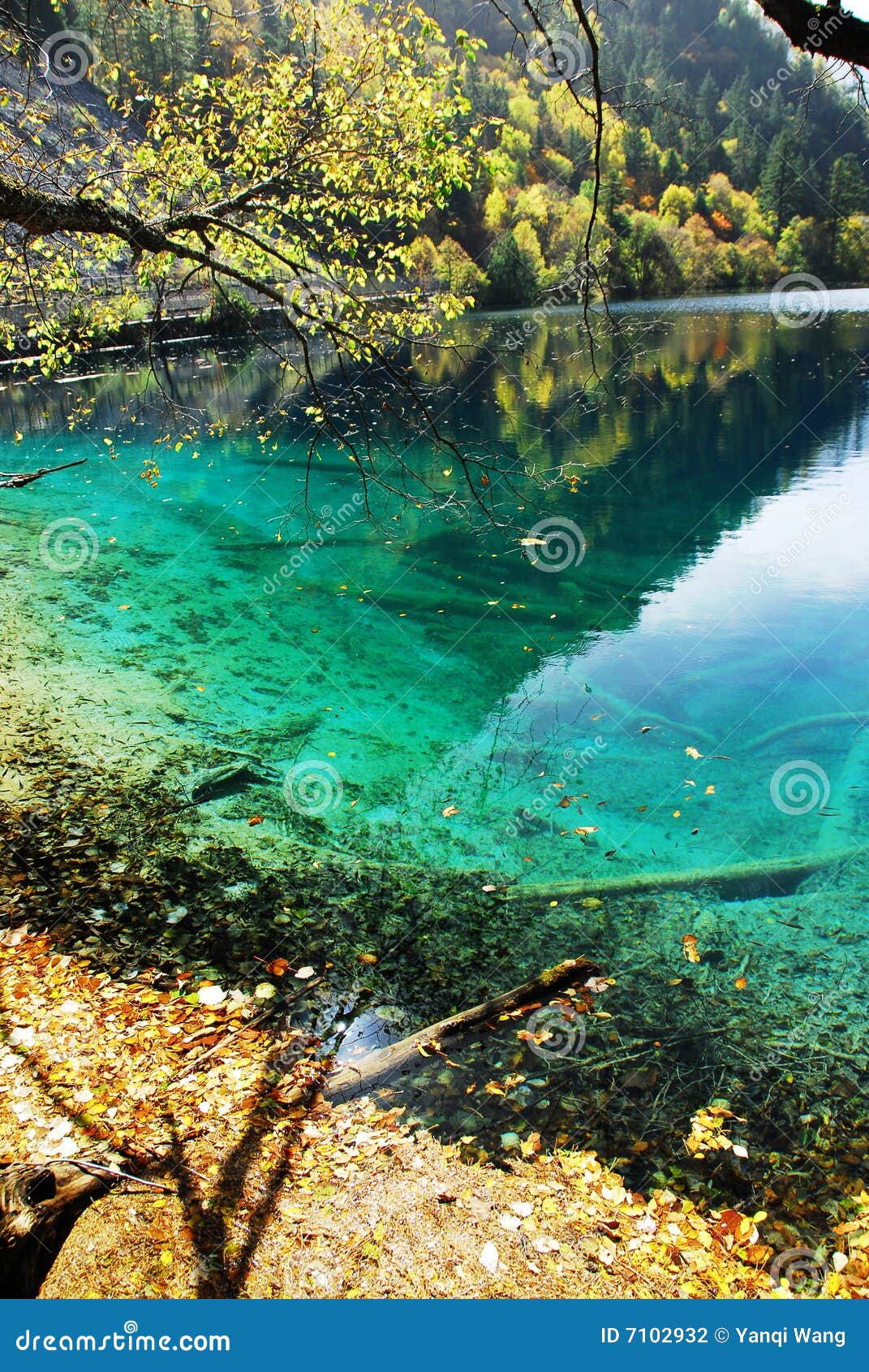 Panda Lake In Autumn Stock Photo Image Of Panda Water 7102932