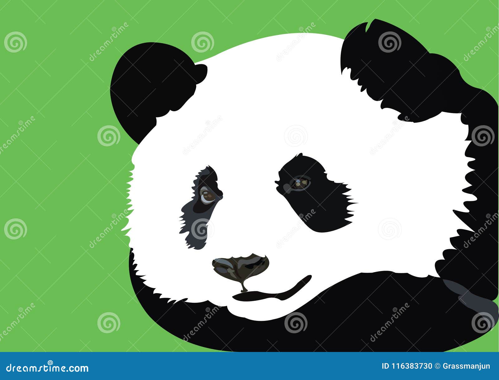 panda  tracing art 