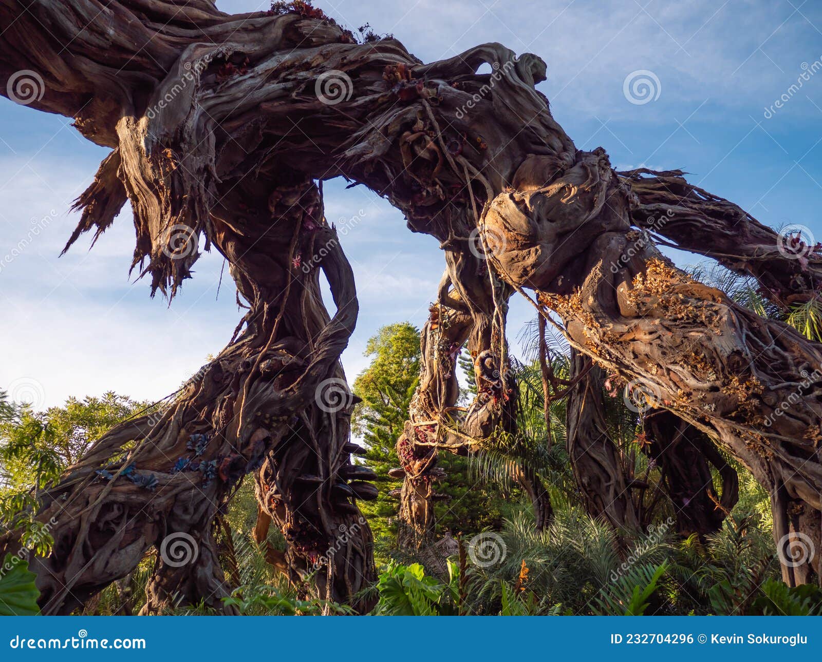 Pandora | Disney World | Avatar | Animal Kingdom | Florida Editorial Photo - Image of sacred, vacation: 232704296 Pandora | Disney World | Avatar | Animal Kingdom | Florida Editorial Photo - Image of sacred, vacation: 232704296