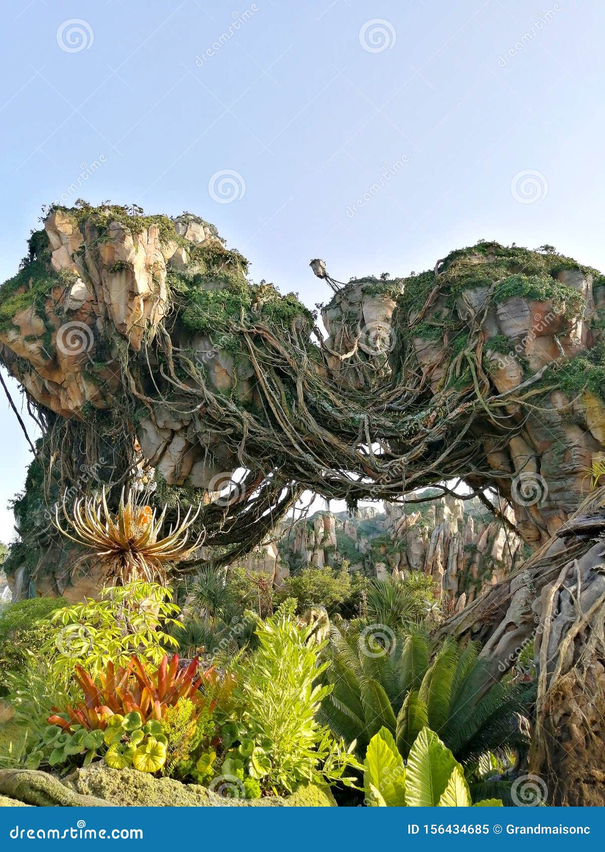 Download Pandora - The World Of Avatar In Walt Disney World ...