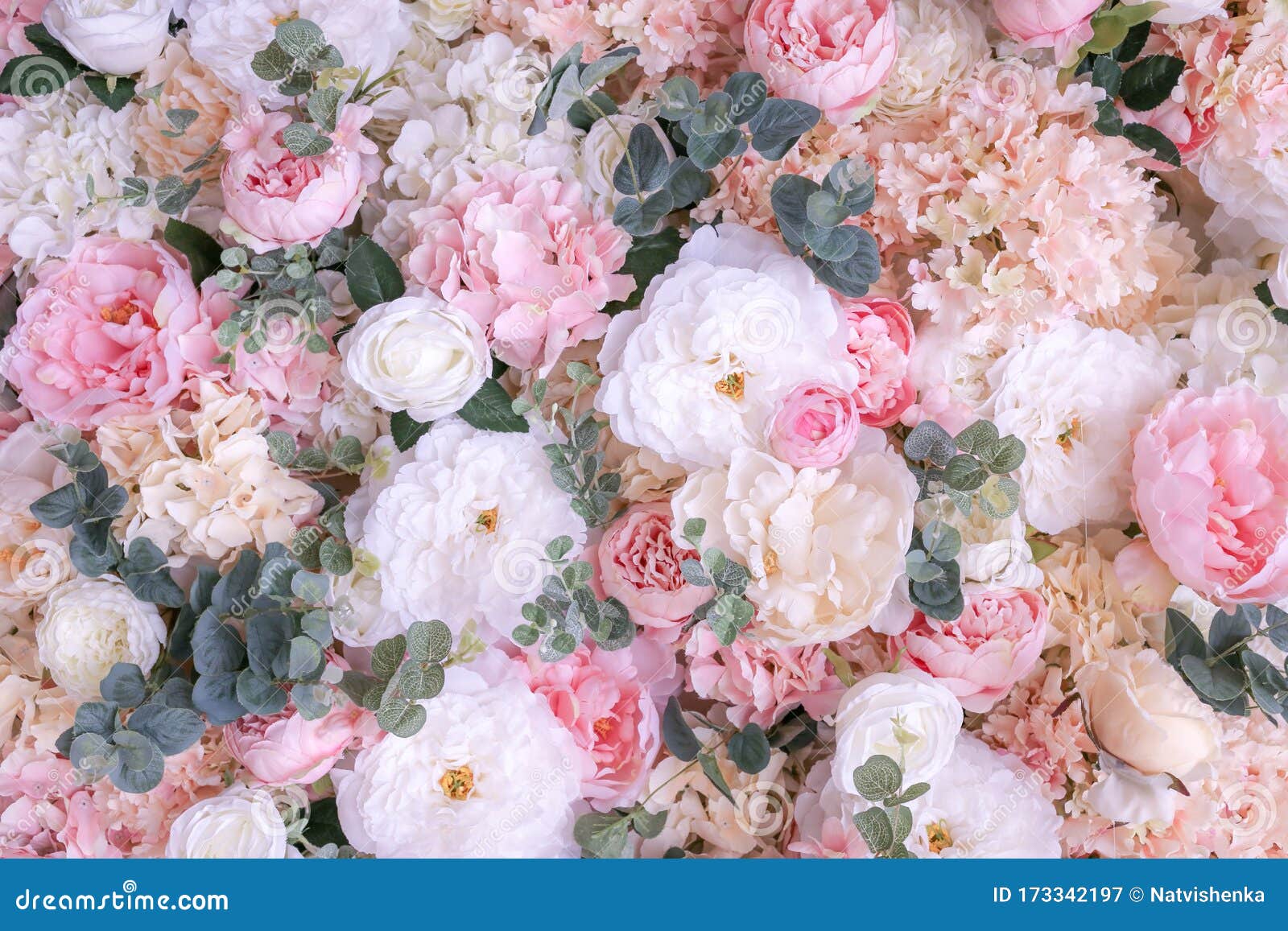 Panel De Fondo De Flores Peonías, Rosas Y Eucalipto Imagen de archivo -  Imagen de colorido, modelo: 173342197