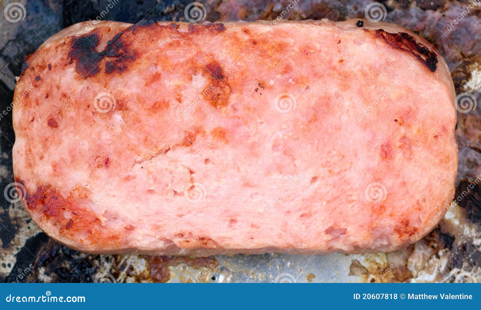 Panfried mystery meat stock photo. Image of canned, cooking 20607818