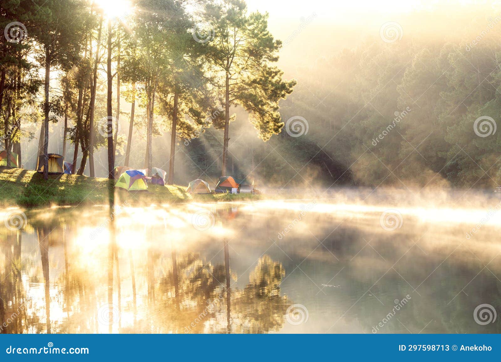 pang ung which officially called the royal forest project at pang tong 2 at mae hong son