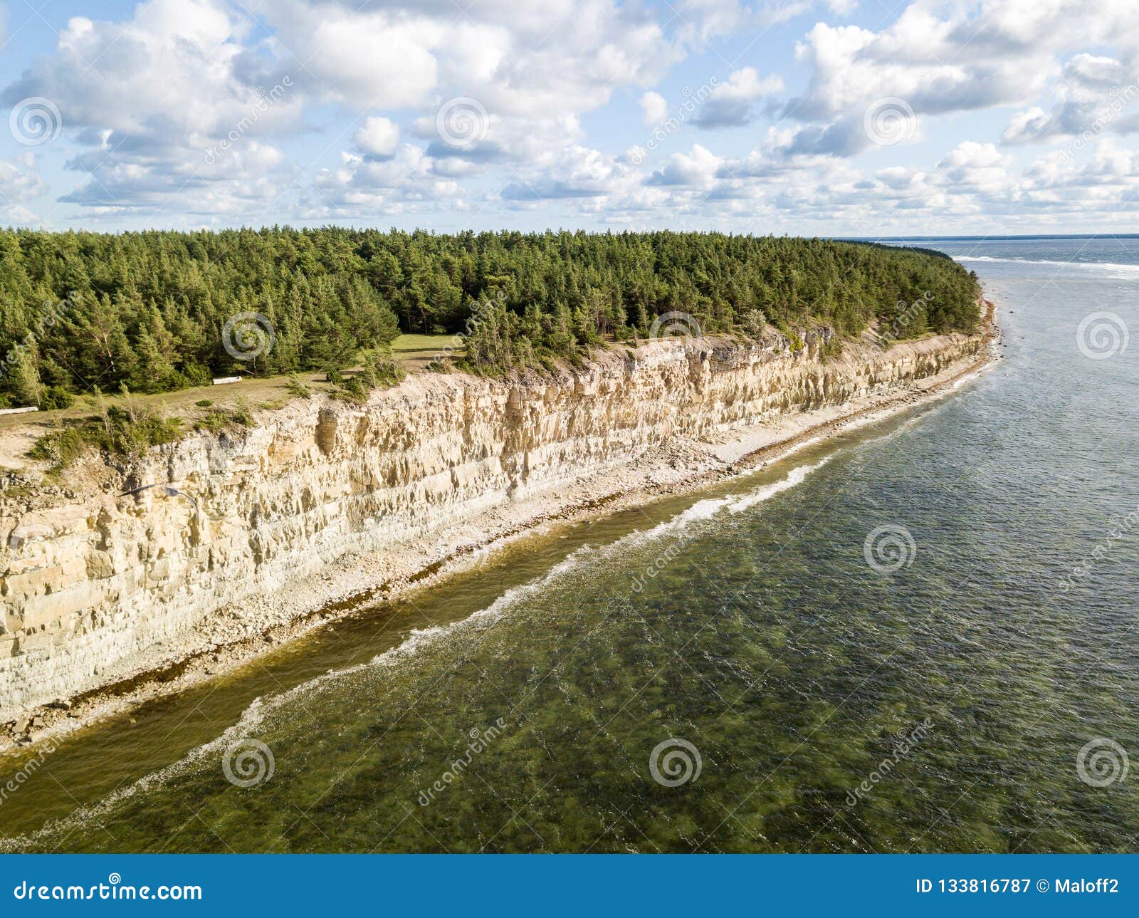 panga coastal cliff panga pank, north shore of saaremaa island, near kuressaare, estonia. north-estonian limestone escarpment,