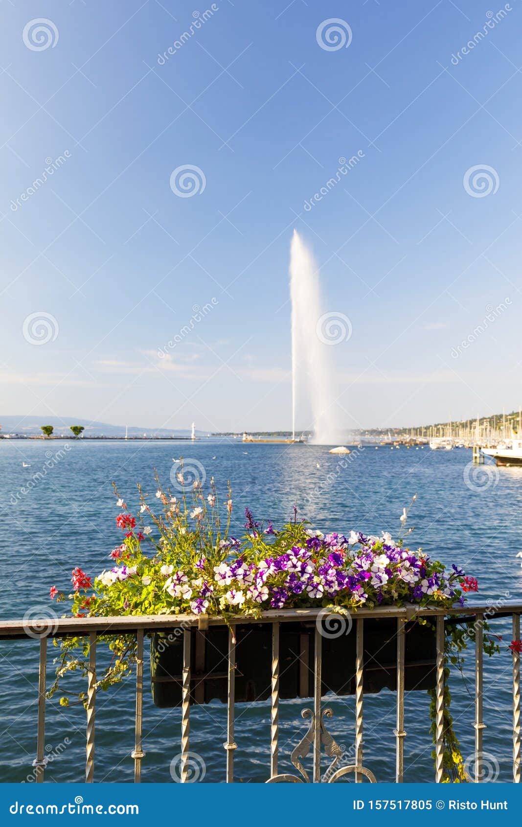 Panier A Fleurs Et Fontaine Jet D Eau A Geneve Suisse Image Stock Image Du Fontaine Fleurs 157517805