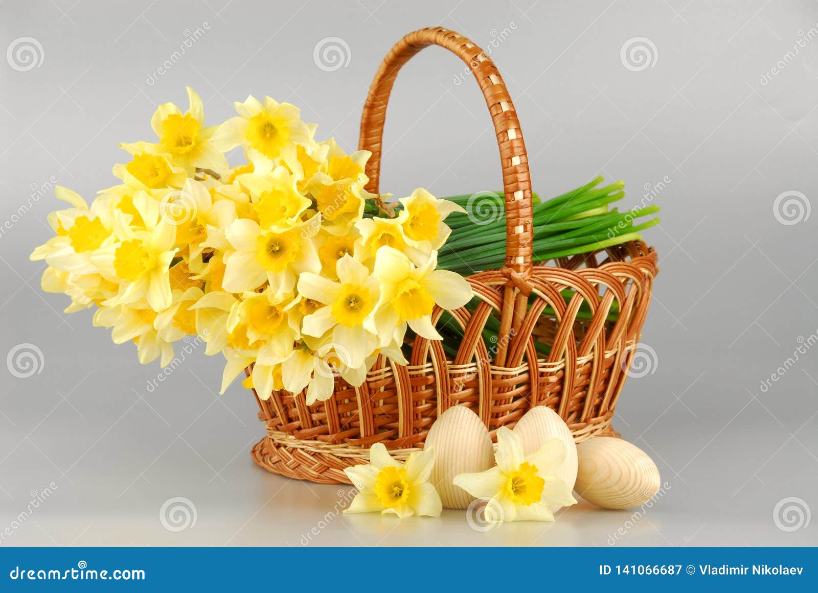 Panier de narcisse, oeufs de pâques dans le panier, femmes jaunes de fleur de narcisse de ressort ou jour de mères. Panier de narcisse, oeufs de pâques dans le panier, jour de mères jaune de fleur de narcisse de ressort