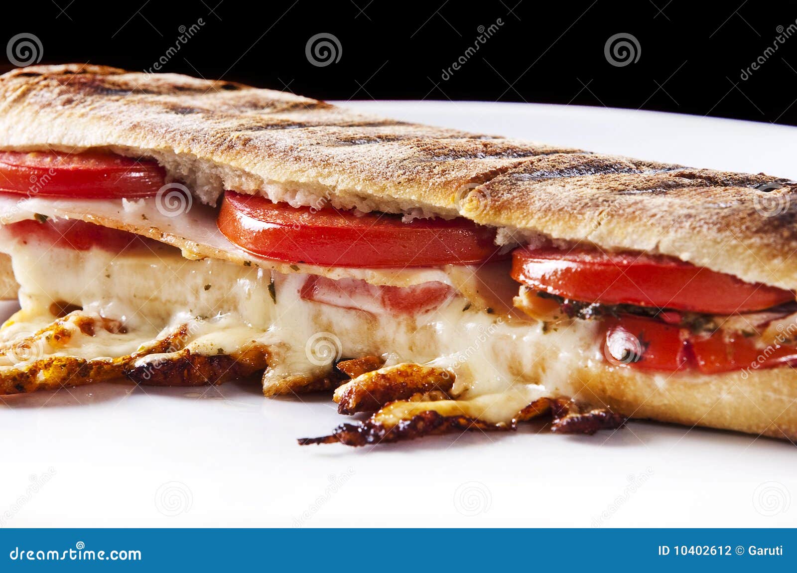 Panini sandwich stock photo. Image of calories, diet 10402612