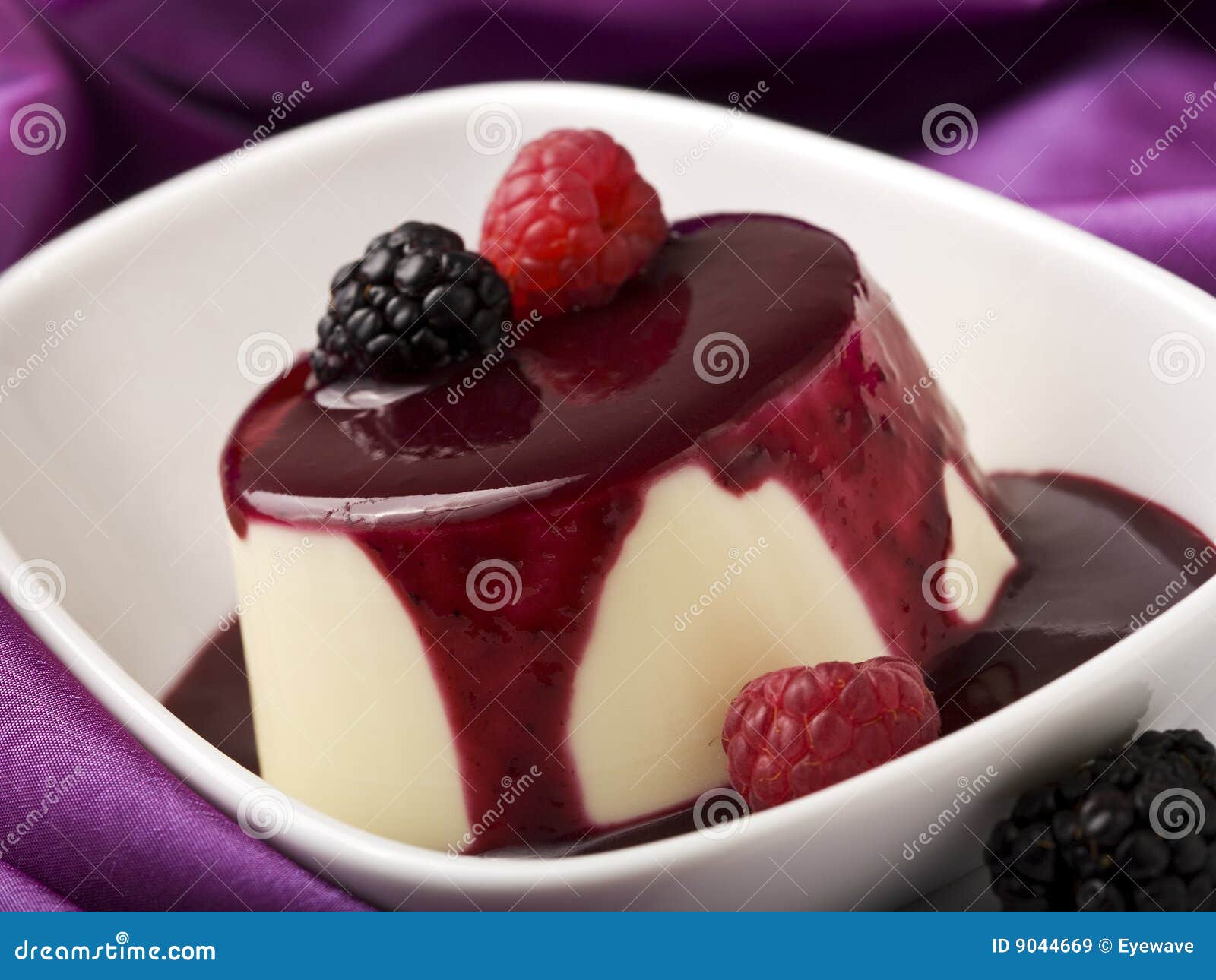 Panna Cotta with Berry Fruit Sauce, Closeup Stock Image Image of