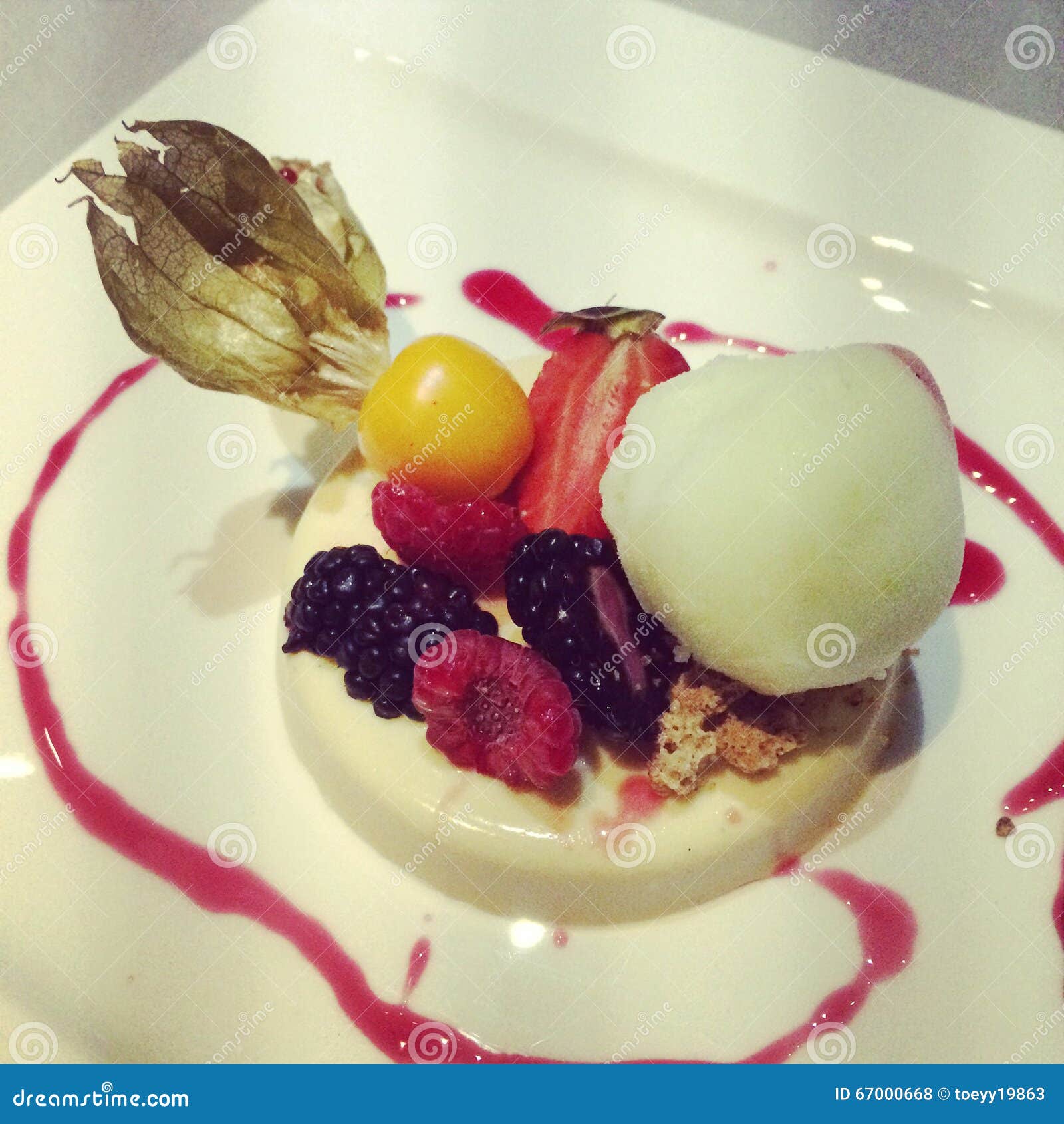 Panna Cotta with ice cream stock photo. Image of dessert 67000668