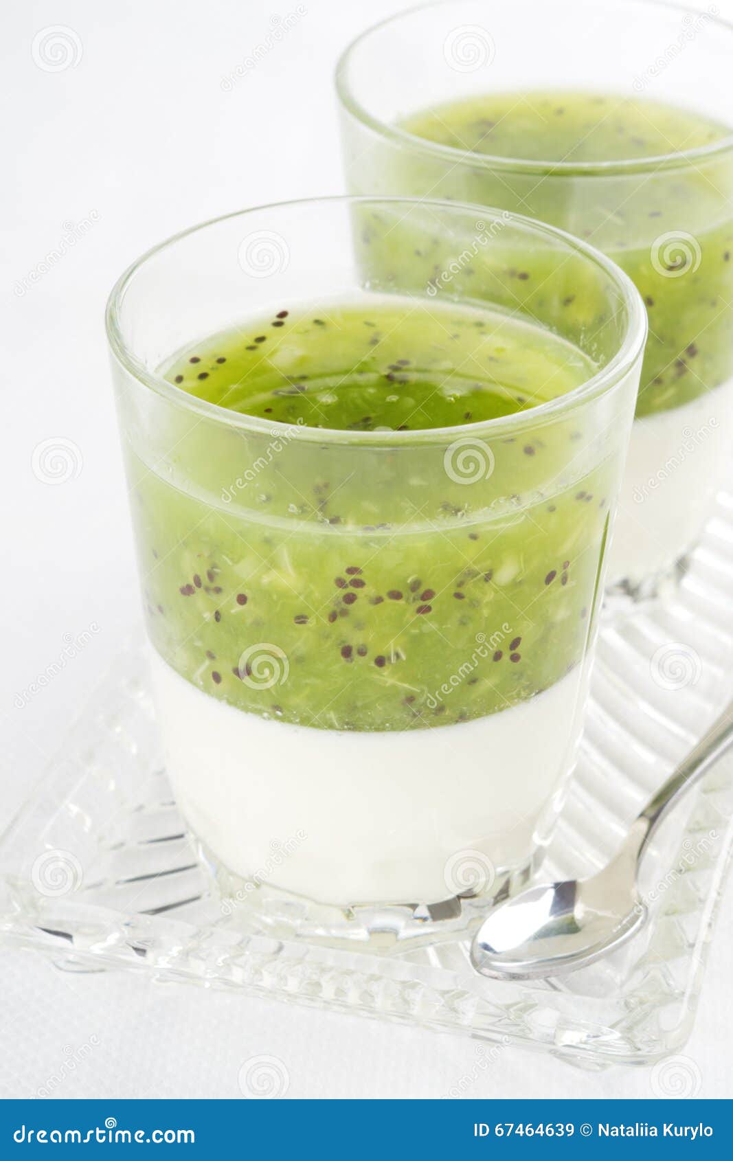 Panna cotta stock image. Image of homemade, kiwi, pudding 67464639