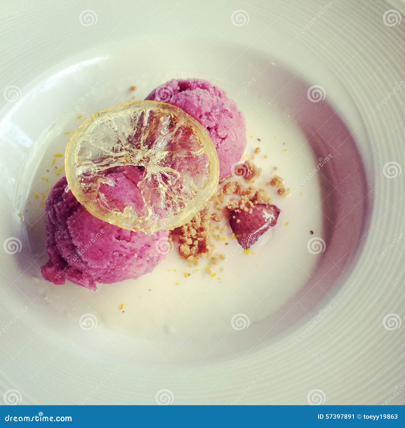 Panna cotta stock image. Image of meal, cold, berry, panna 57397891