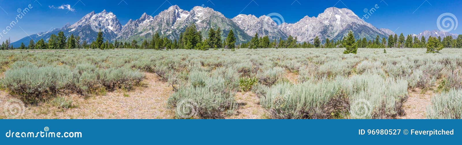 pano of the grand teton national park mountain range in wyoming, usa.