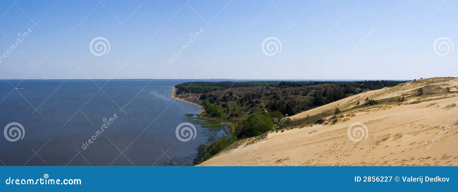 Panorama. Vista panorâmico das dunas com costa do mar Báltico. posição: nida, lithuania