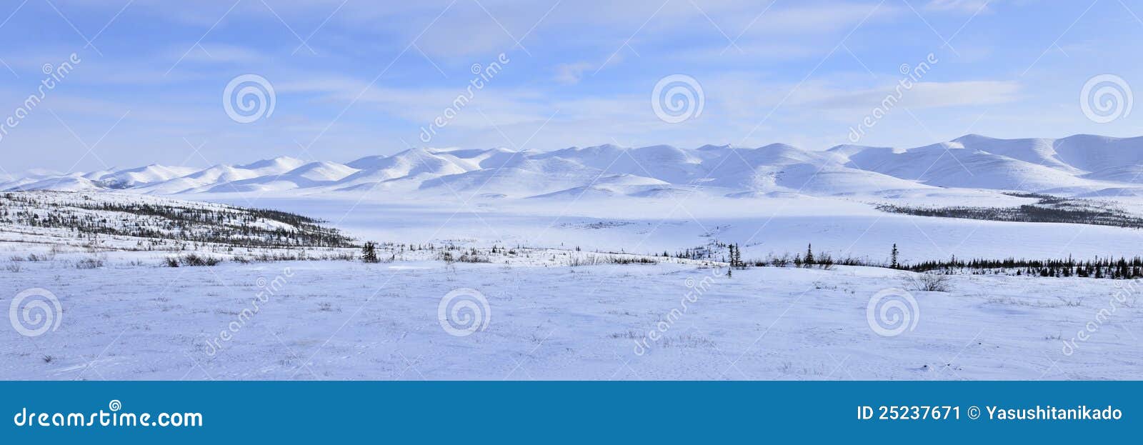 panorama arctic landscape