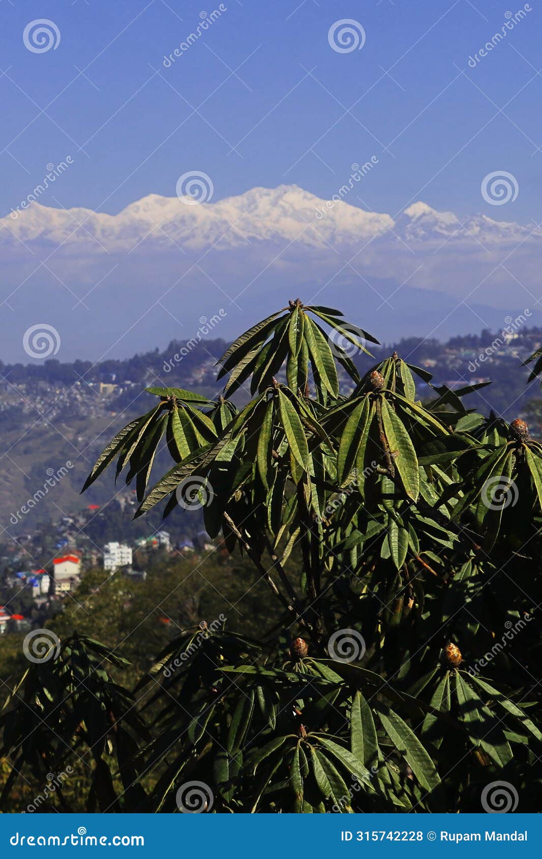 panorama of beautiful darjeeling hill station and snowcapped mount kangchenjunga
