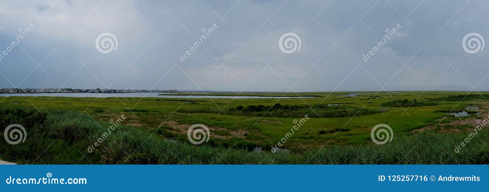 brigantine bay marsh and tidal wetlands panorama