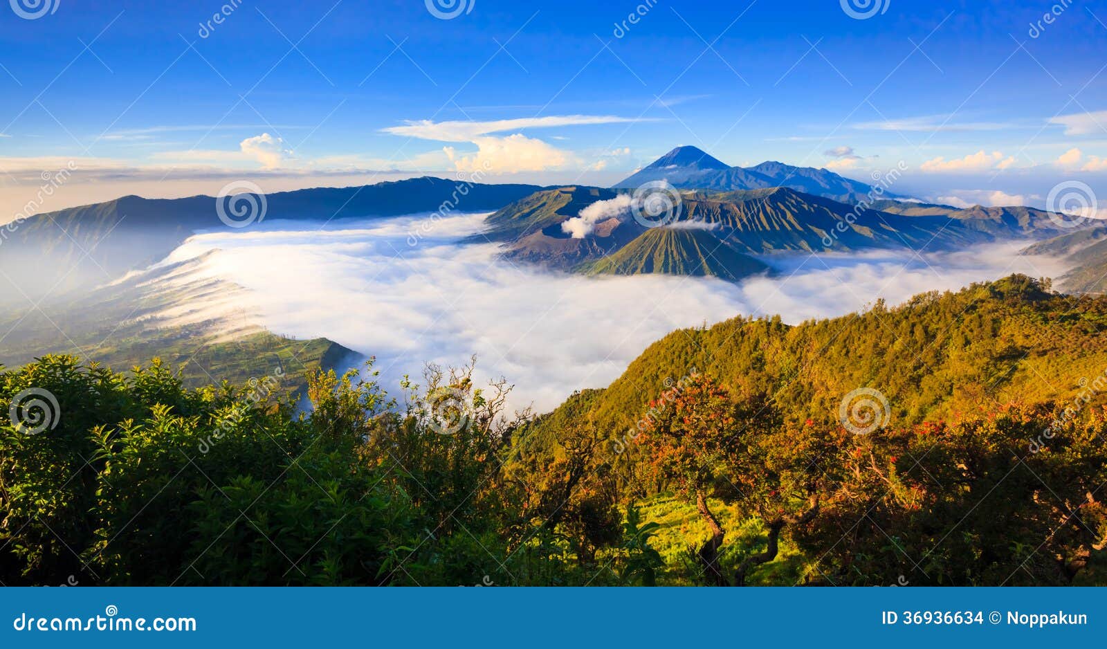 panorama of bromo volcano at sunrise, east java, indonesia