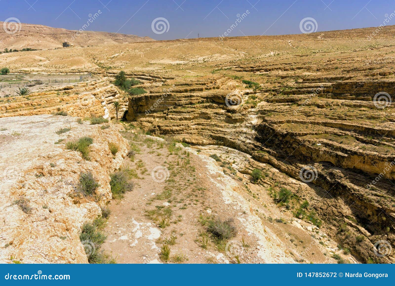 panorama of canyon in mides, tunisia