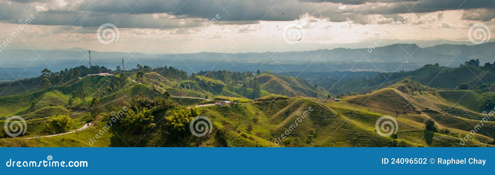 panorama in the coffee triangle region of colombia