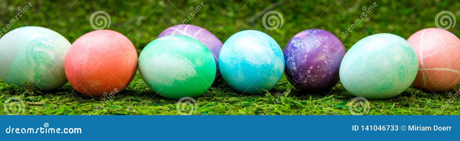 Panorama, Colorful Dyed Easter Eggs in a Line on Green Meadow Stock