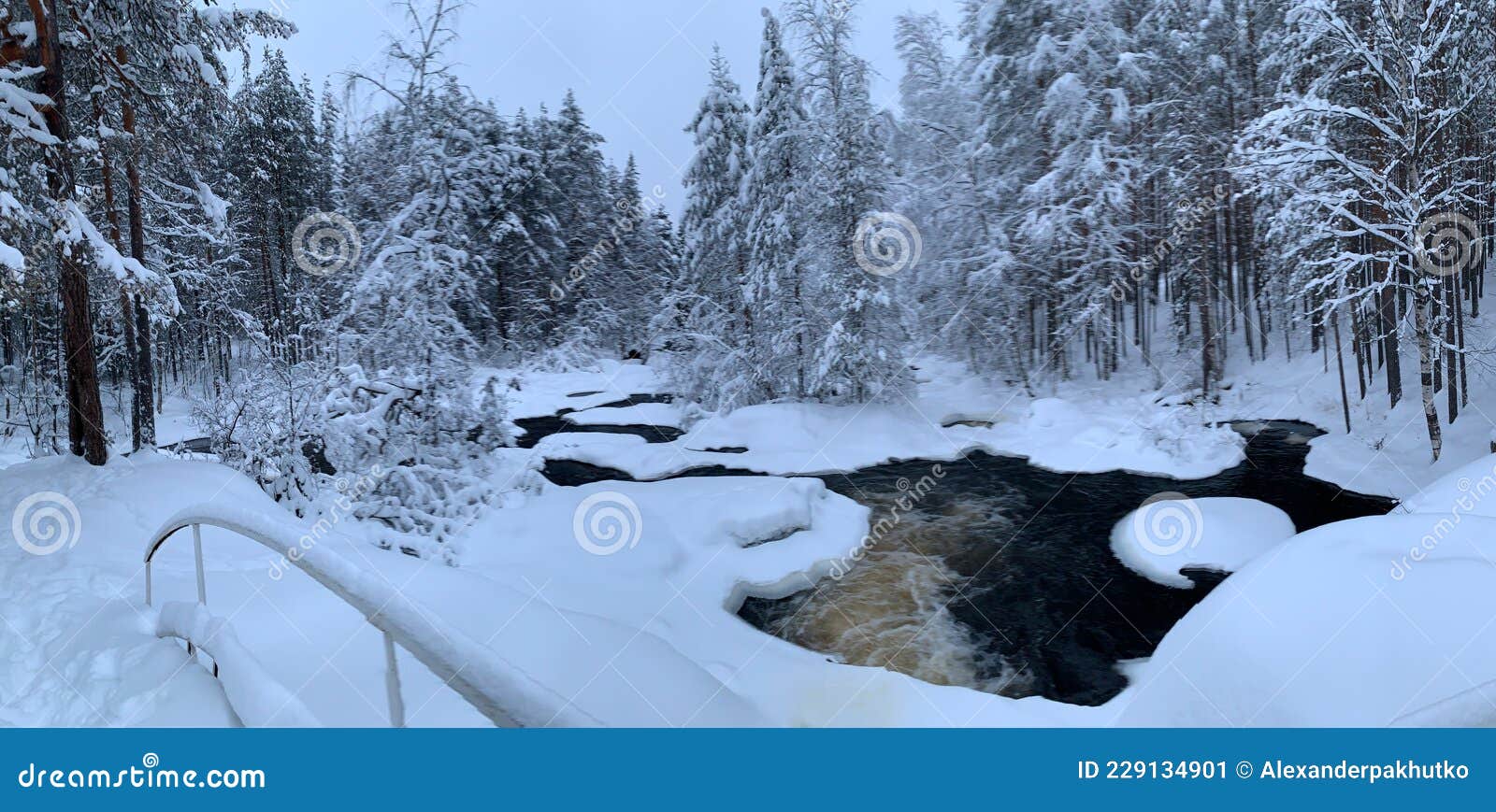 Paisagem Da Floresta De Inverno, Rio De Gelo Nevado Durante A