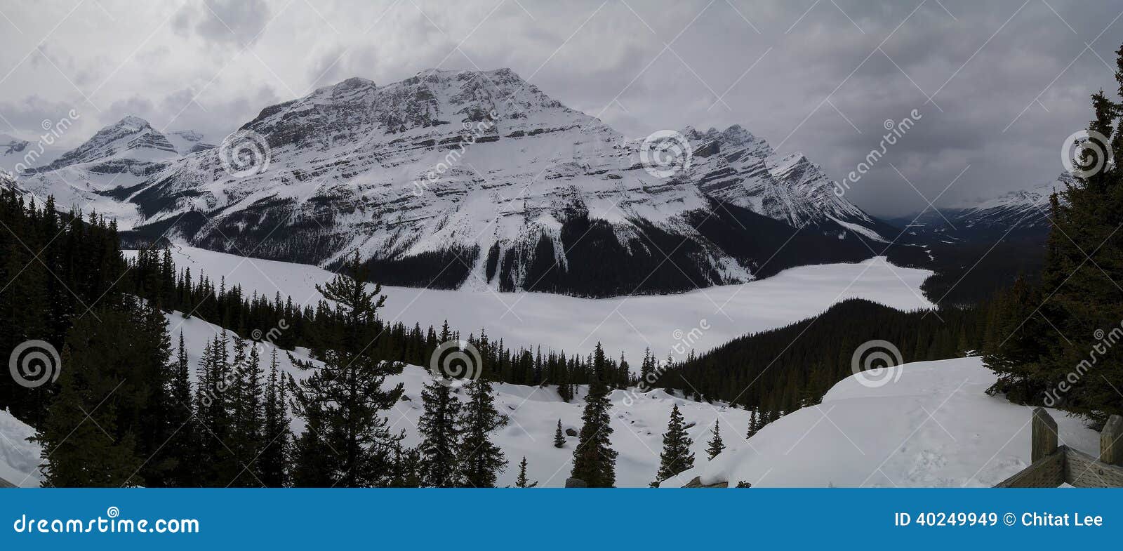 Panorama del lago Peyto nel parco nazionale di Banff