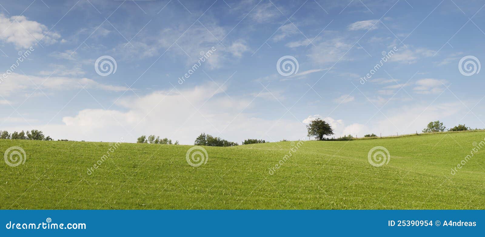 Panorama della natura con il cielo nuvoloso blu-chiaro, il prato verde ed alcuni alberi