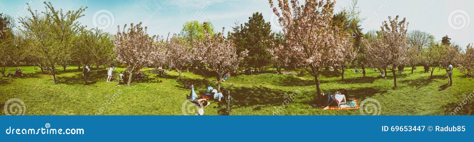 BUCAREST, ROUMANIE - 9 AVRIL 2016 : Panorama des personnes ayant l'amusement dans le jardin japonais du parc public de Herastrau la journée de printemps de week-end