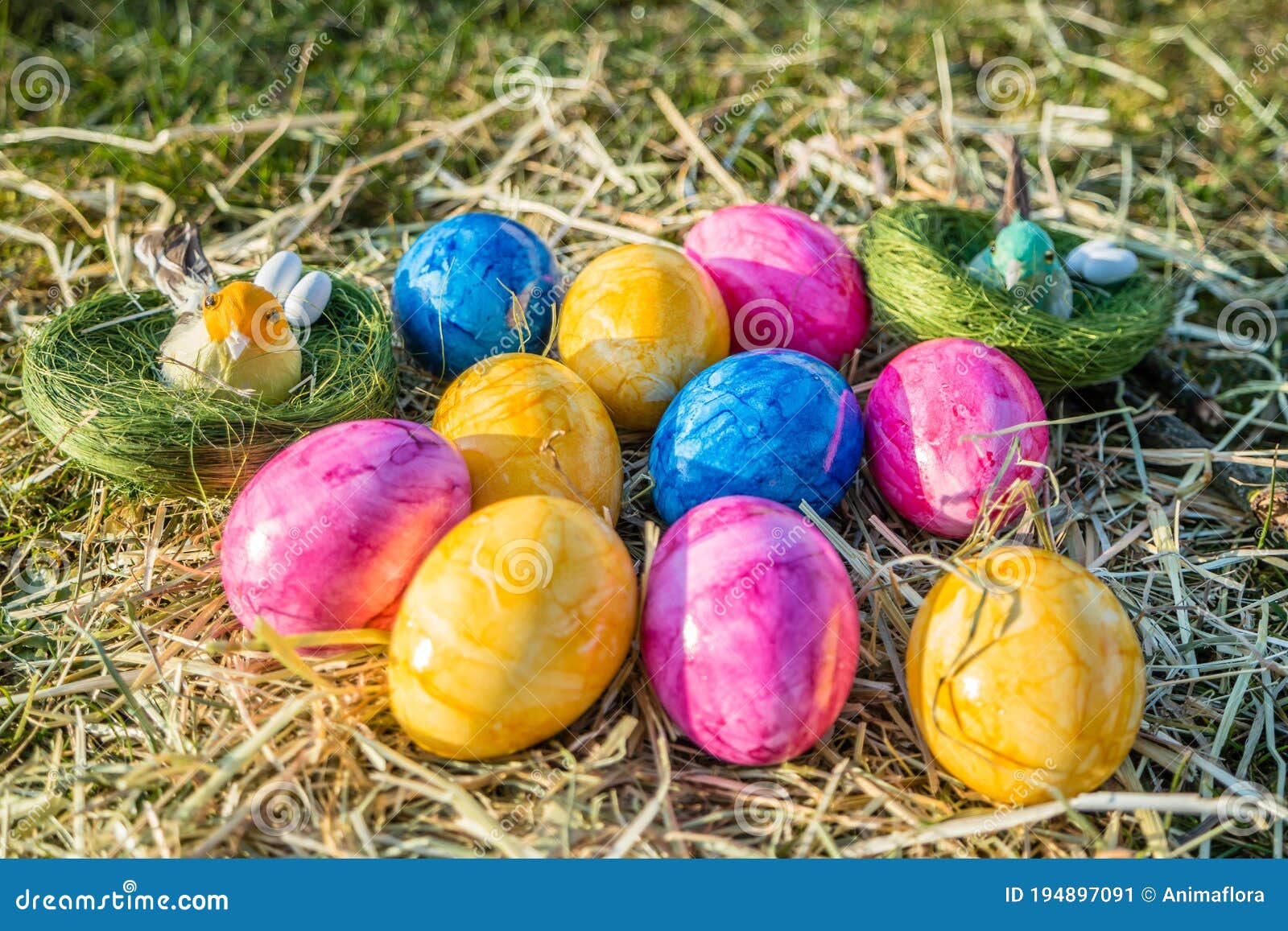 Panorama Easter Eggs in the Spring Stock Image - Image of season