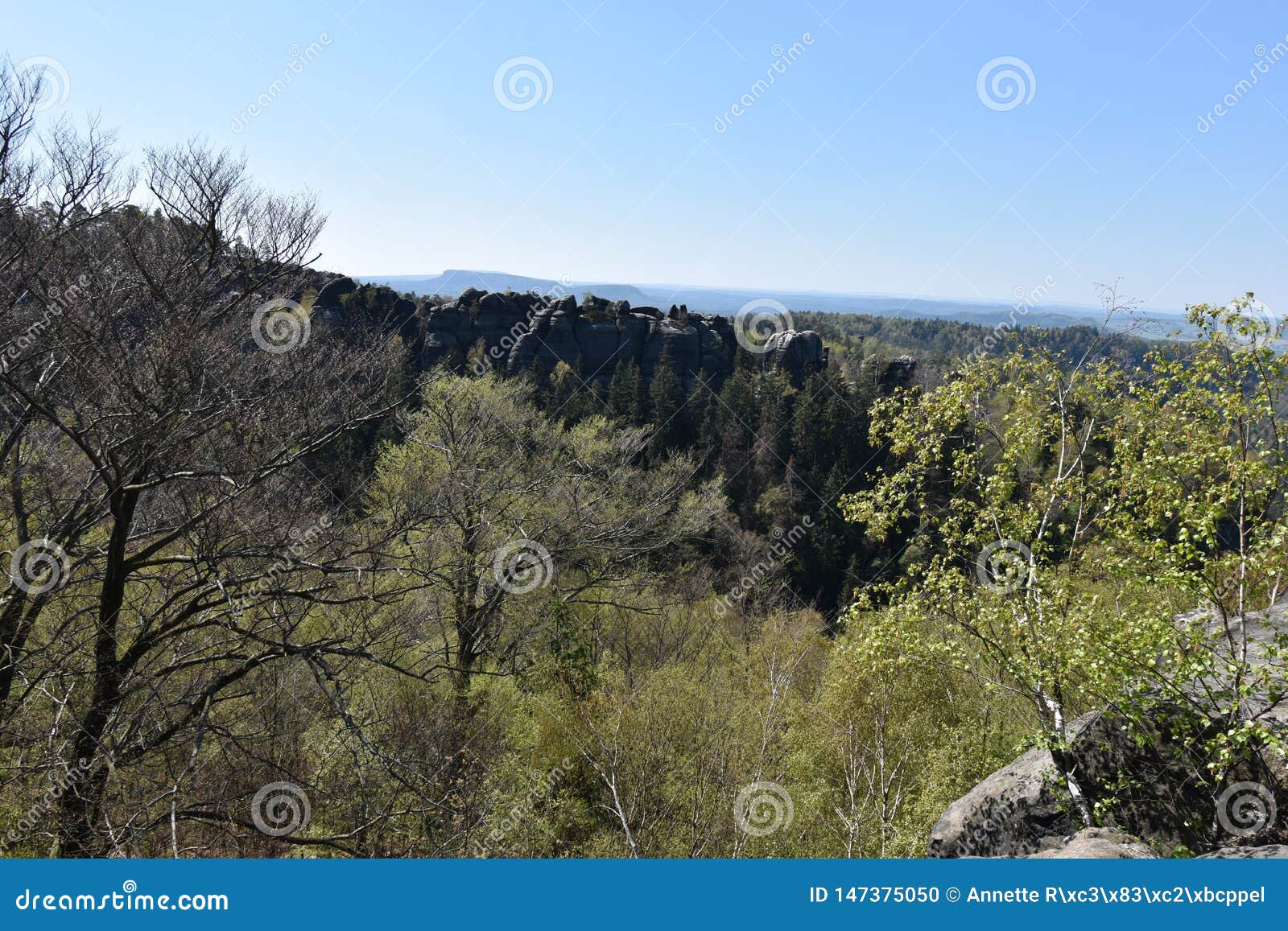 panorama of elbe sandstone mountains in beautiful saxon switzerland near bohemian switzerland in germany