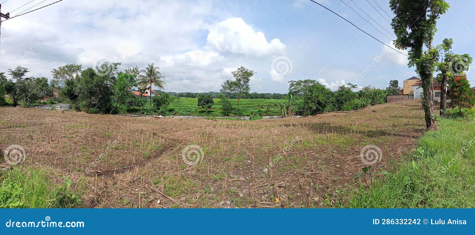 Panorama in Kalimas Randudongkal Pemalang in Morning Moment Stock Photo