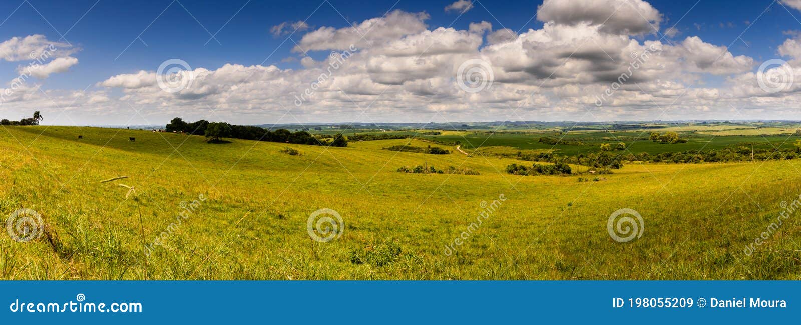 landscape of pampa gaucho, southern brazil