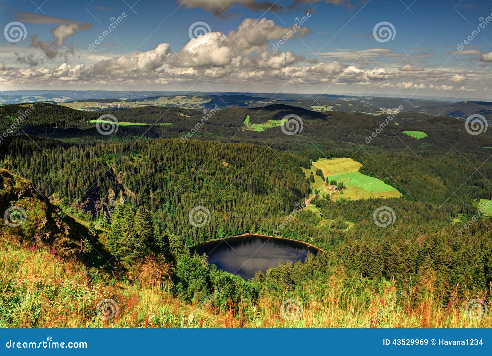 1 048 Panorama Schwarzwald Photos Free Royalty Free Stock Photos From Dreamstime