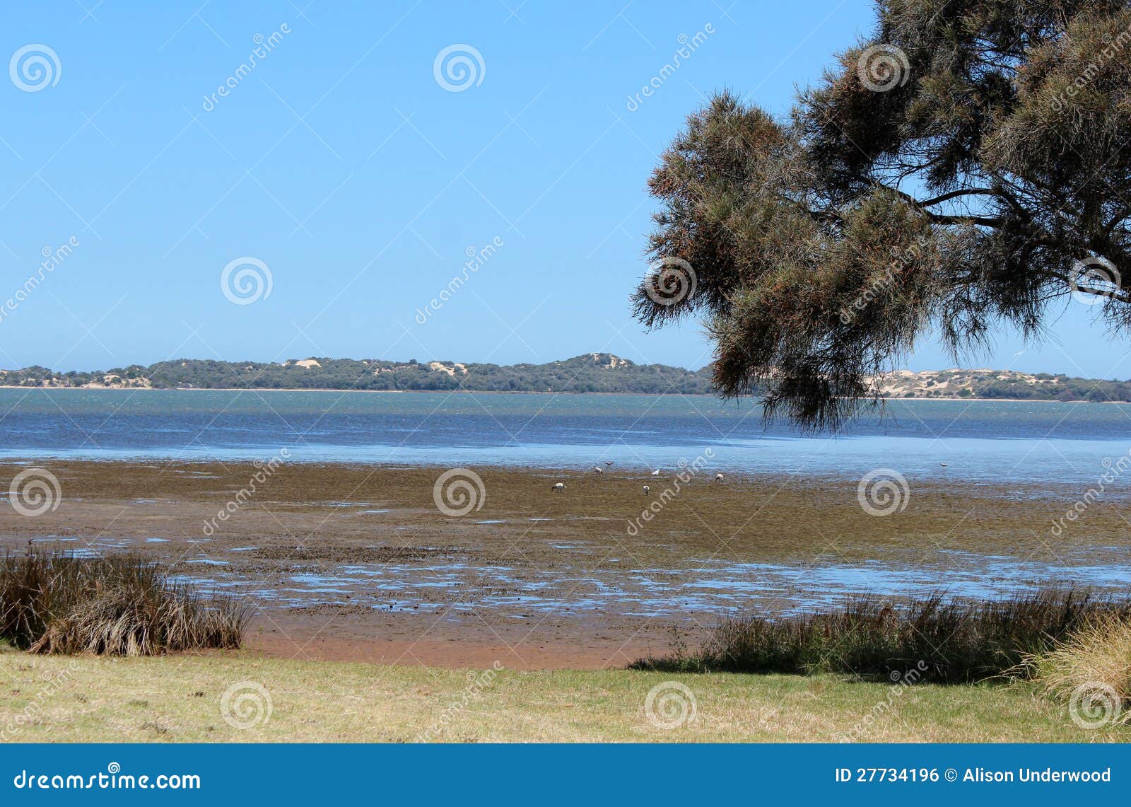 Panorama of Leschenault Estuary Bunbury West Aust Stock Photo Image