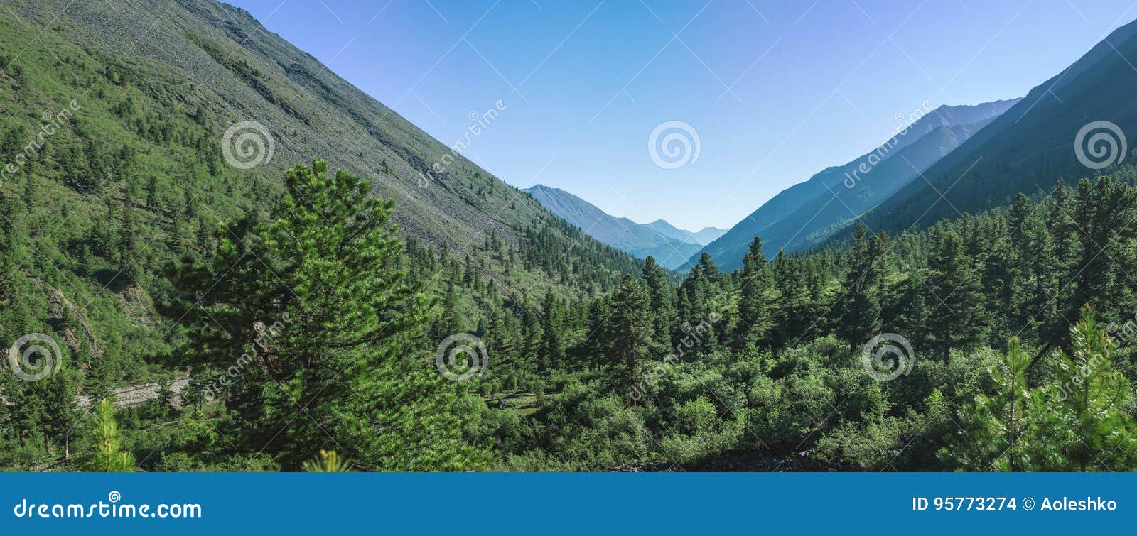 Panorama Of Mountains Covered With Green And Blue Sky With Clouds View