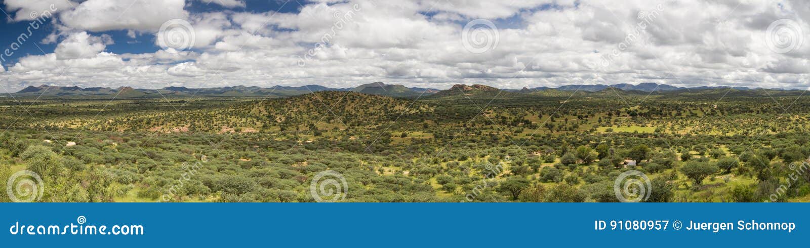 panorama of the namibian grassland in the rain season