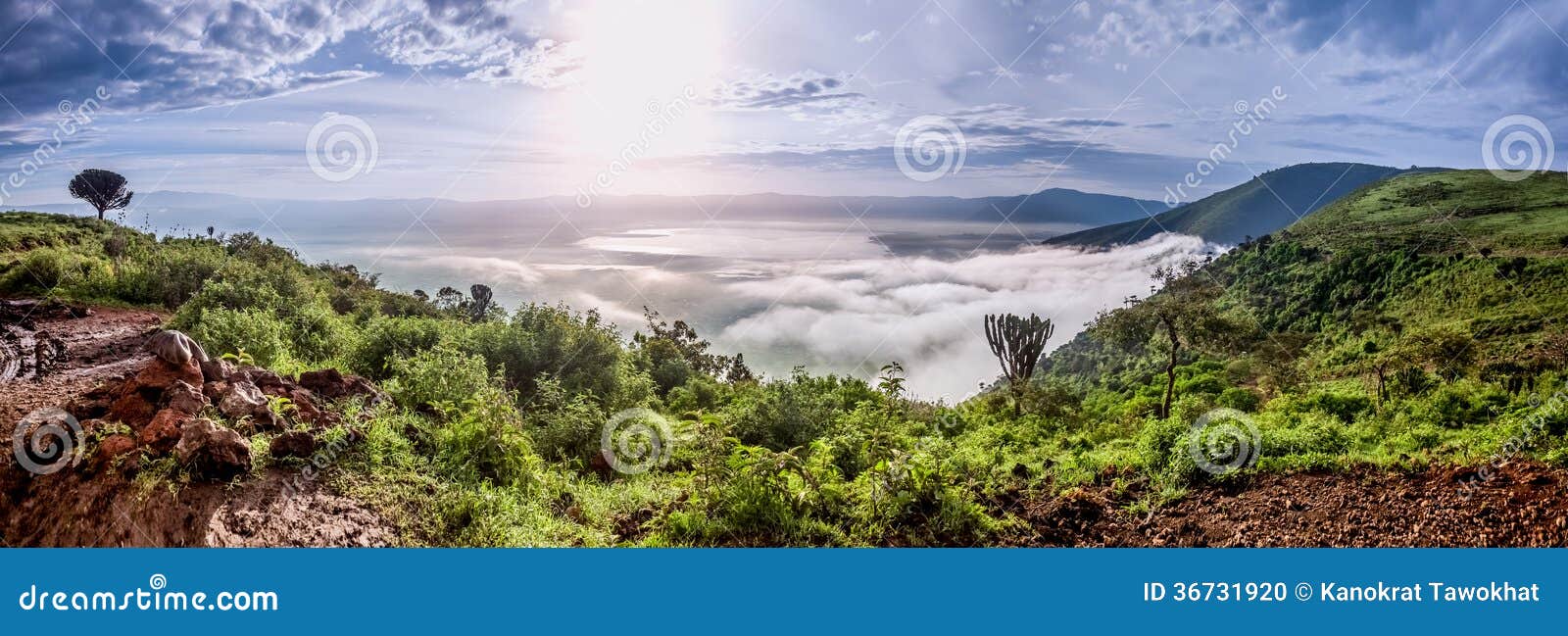 panorama from ngorongoro crater, tanzania, east africa