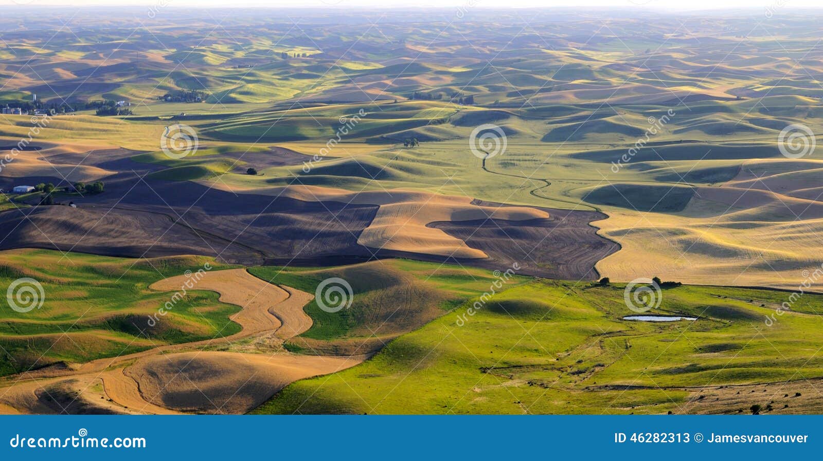 Panorama of Palouse, Washington State Stock Image - Image of ...