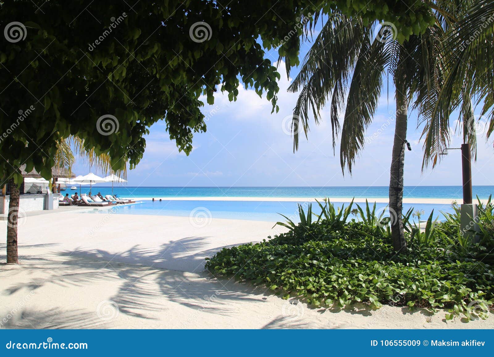 Panorama Of The Pool In The Maldive Islands Editorial Stock Image