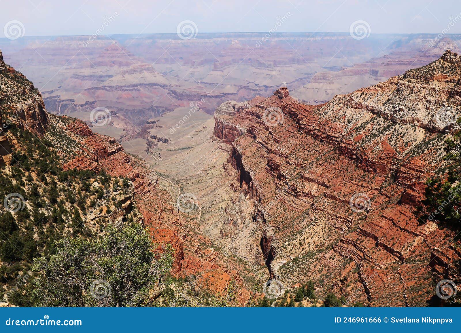 Panoramic View Of The Grand Canyon Arizona Usa Stock Photo Image Of