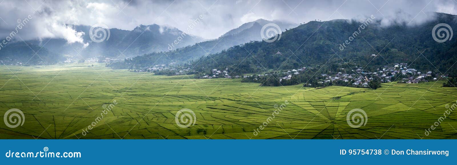 panorama of spider web rice field in ruteng.