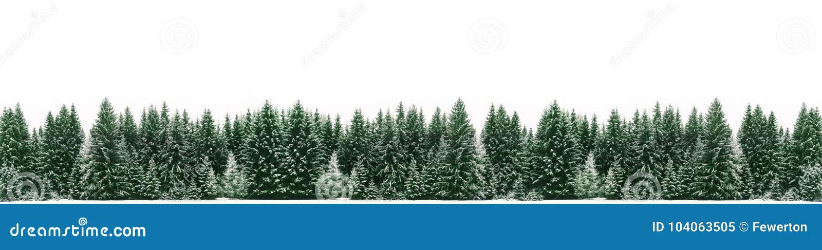 winter panorama of spruce tree forest covered by fresh snow during winter christmas time banner wide panorama background