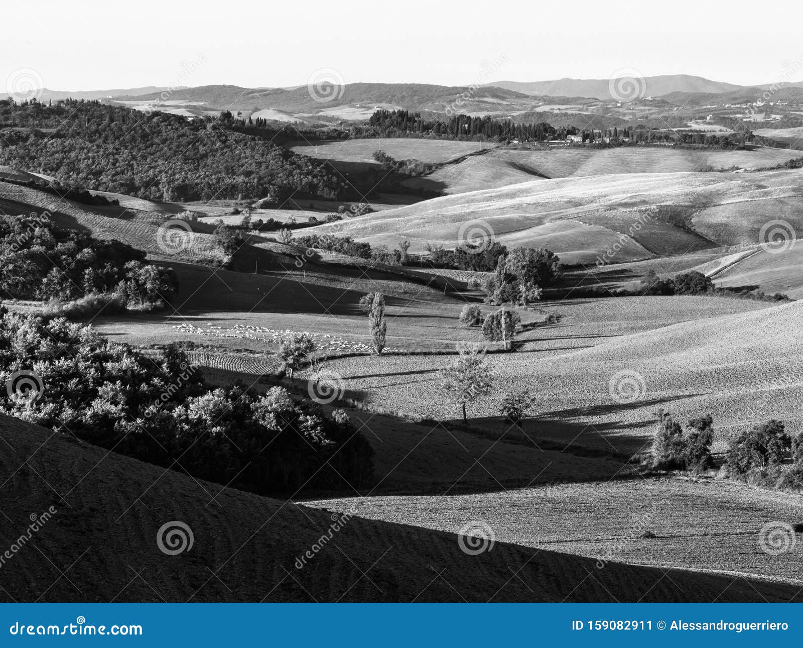 Paysage Noir Et Blanc La Toscane Italie Photos Libres De Droits Et Gratuites De Dreamstime Paysage Noir Et Blanc La Toscane Italie Photos Libres De Droits Et Gratuites De Dreamstime
