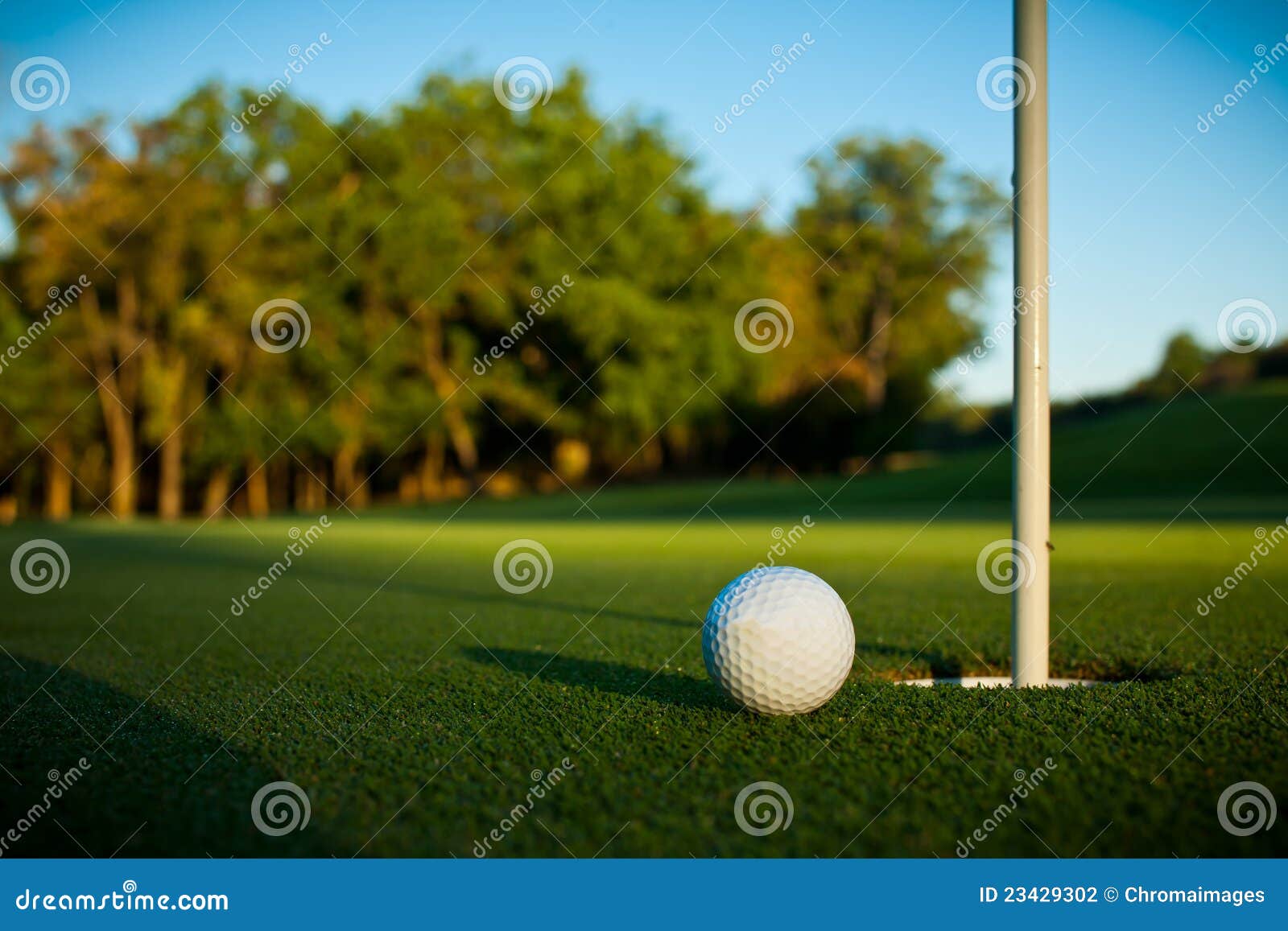 Panorama Tee and Green at Sunrise Stock Photo Image of asia, golf