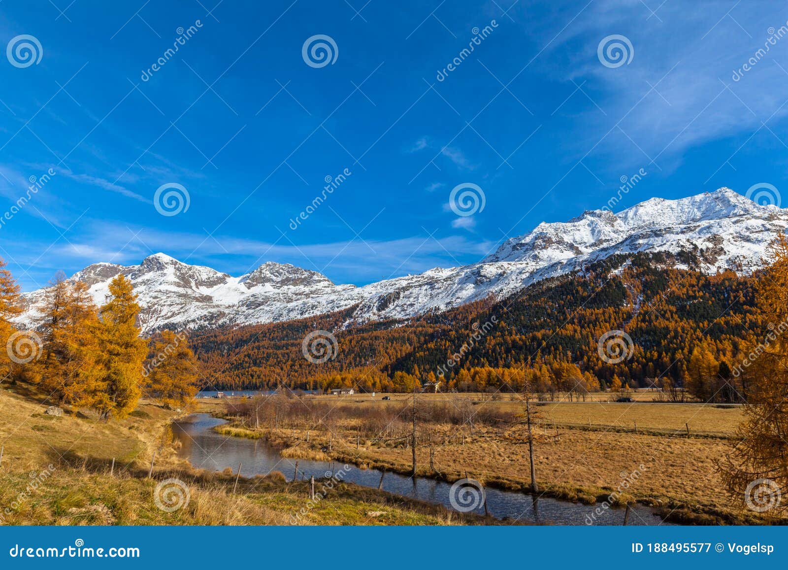 golden autumn in engadin